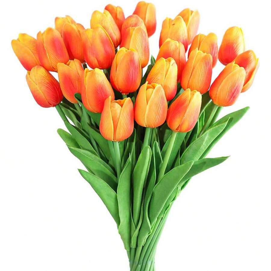 pomarańczowe tulipany 10-pack