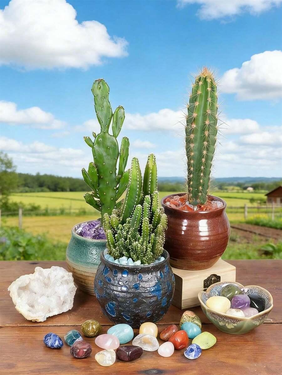mix wielokolorowych kamyków 500g
