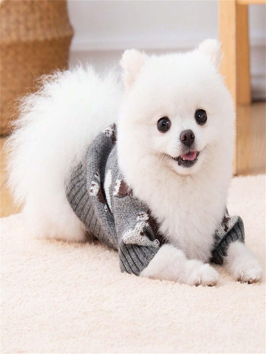 dzianinowy sweter dla psa