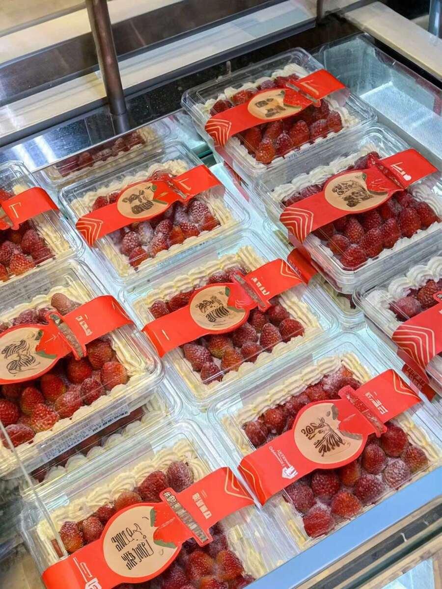 plastikowe pojemniki 5-pack