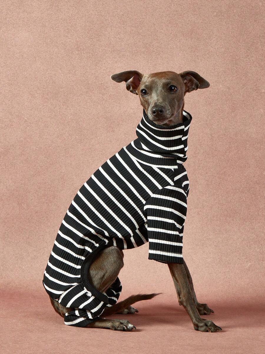 sweter dla psa
