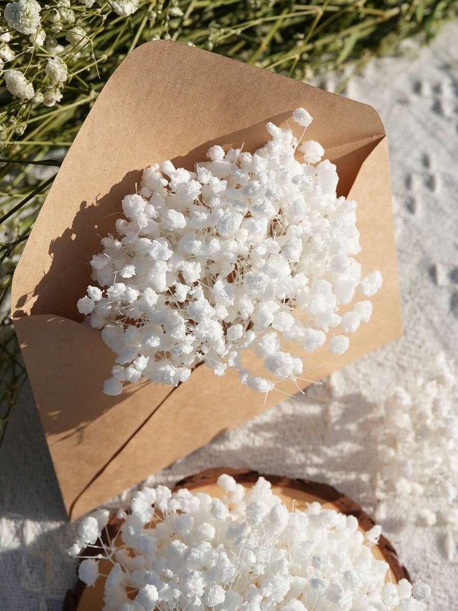 biała gipsówka 52szt.
