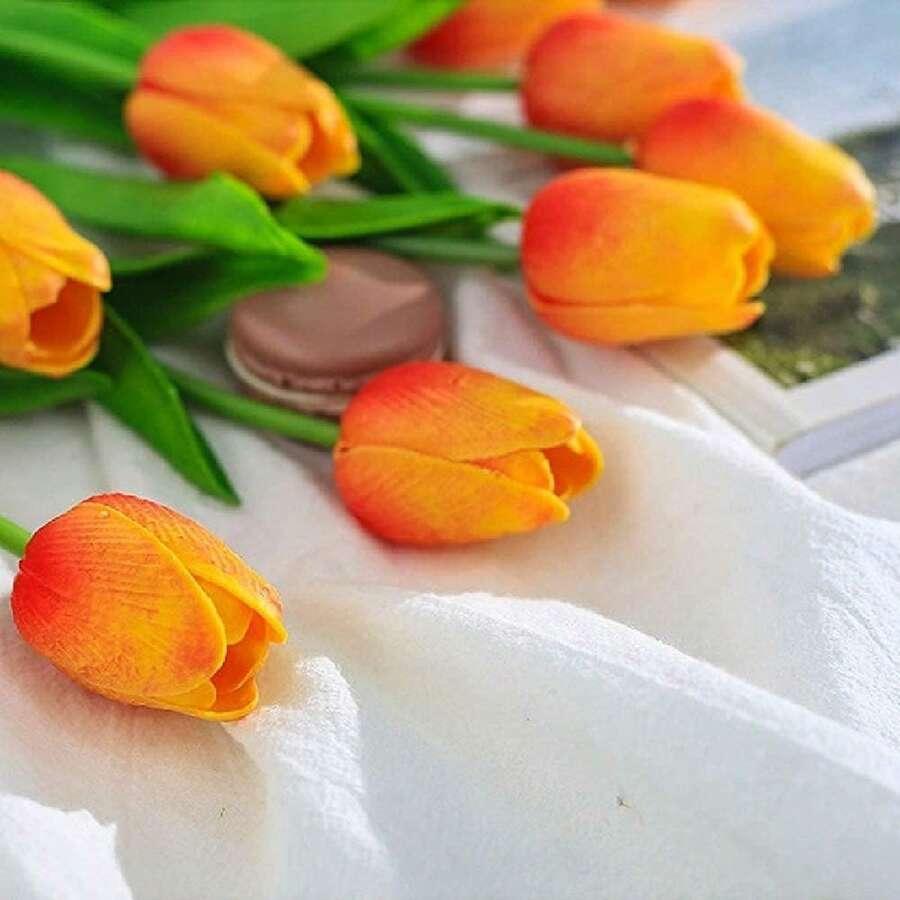 pomarańczowe tulipany 10-pack