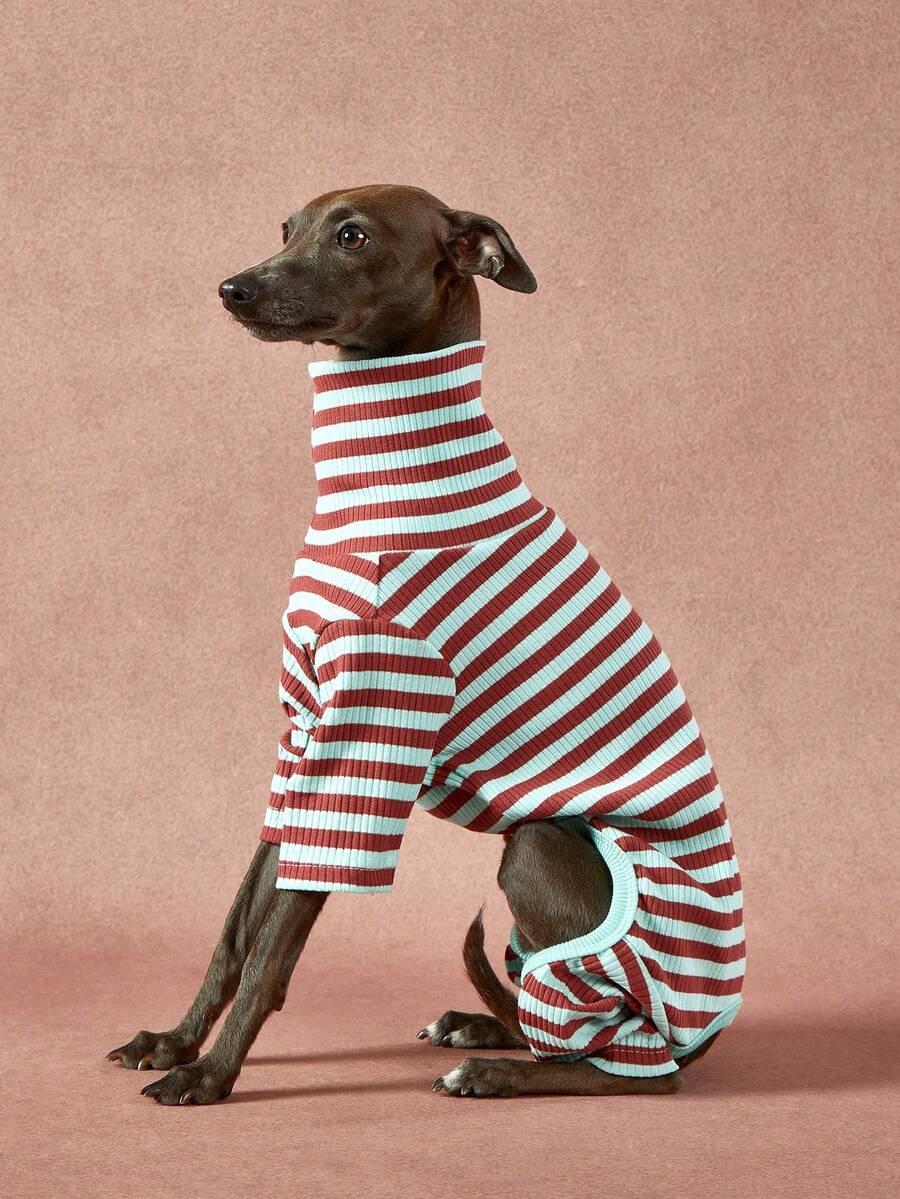 sweter dla psa