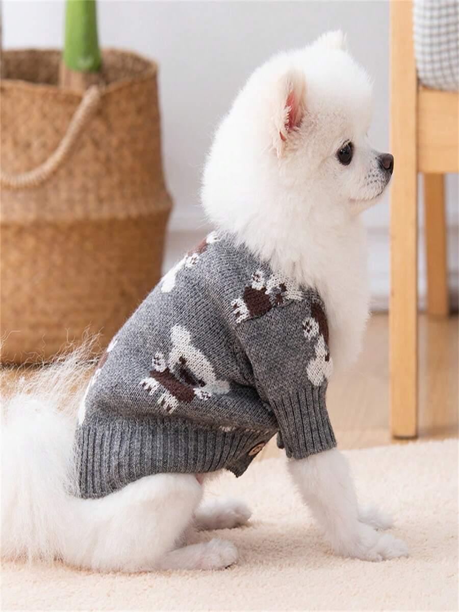 dzianinowy sweter dla psa