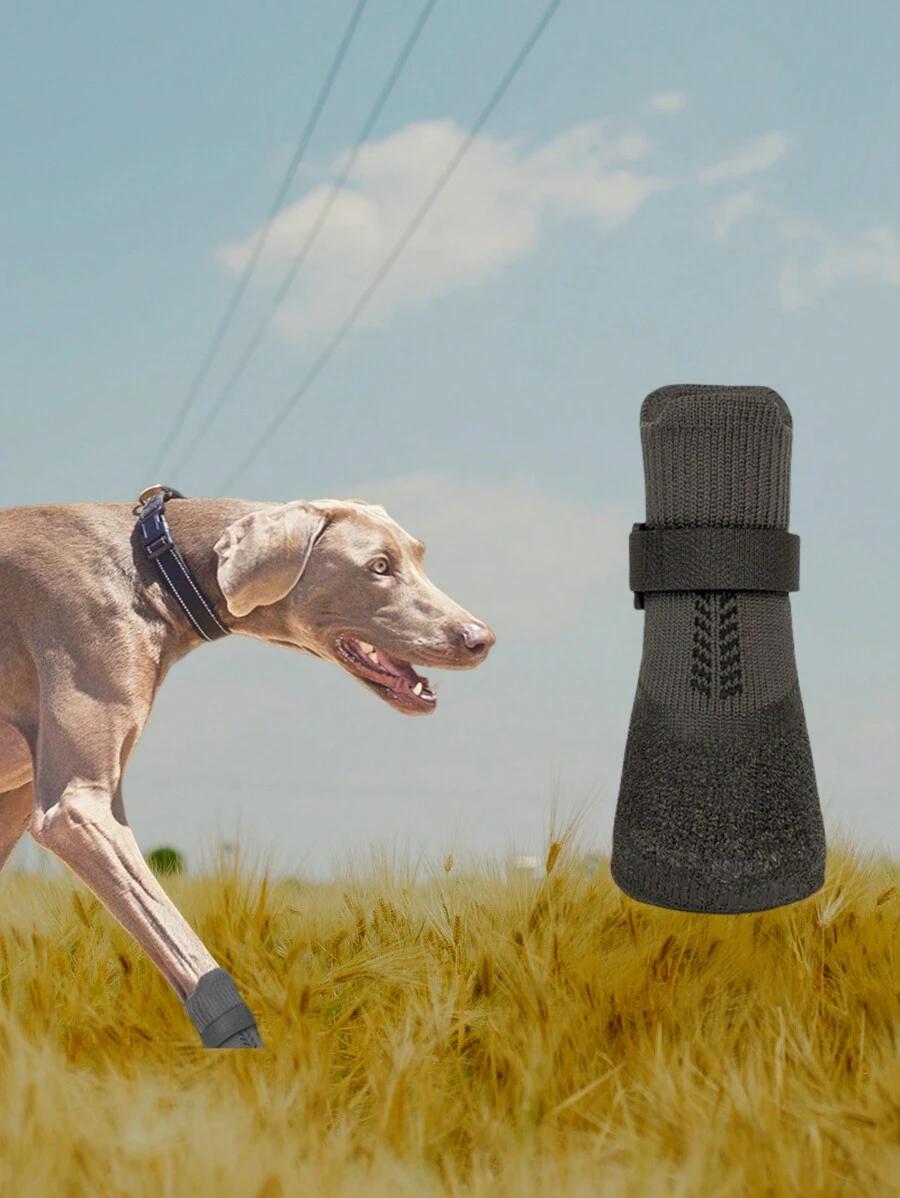 czarne buty ochronne dla zwierząt 4-pack 
