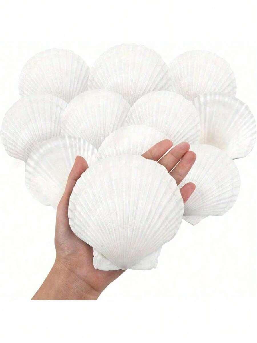 biała muszla 5-pack